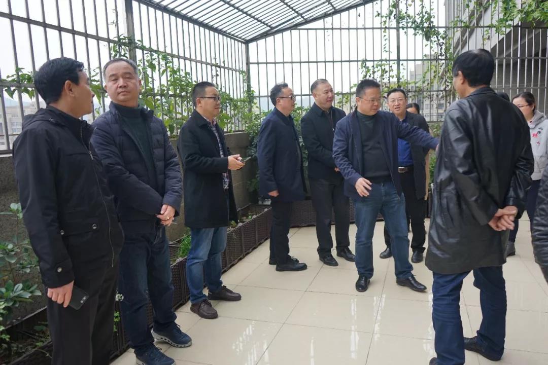 KS凯时·(中国区)官方网站
